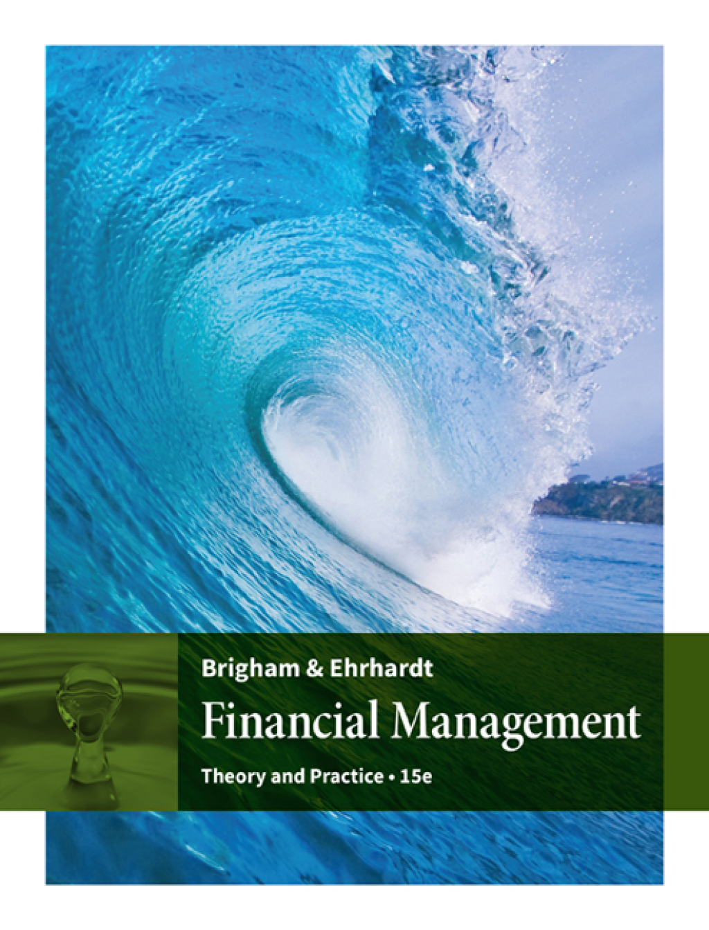 Financial Management: Theory & Practice 15th Edition