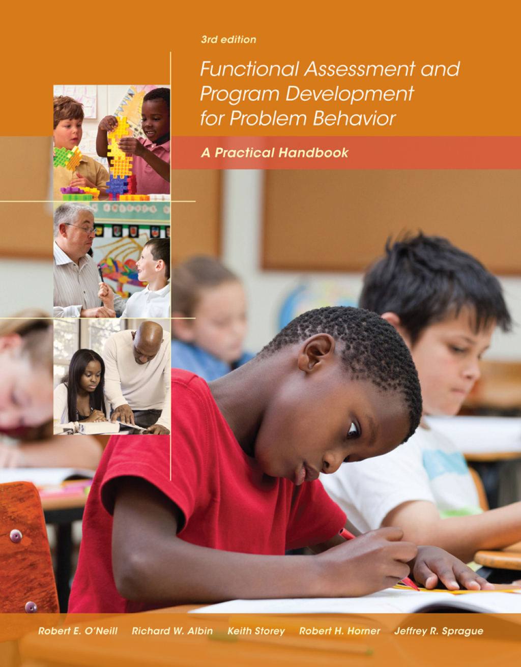 Functional Assessment and Program Development 3rd Edition