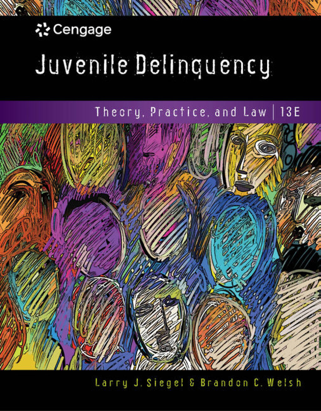 Juvenile Delinquency: Theory, Practice, and Law 13th Edition