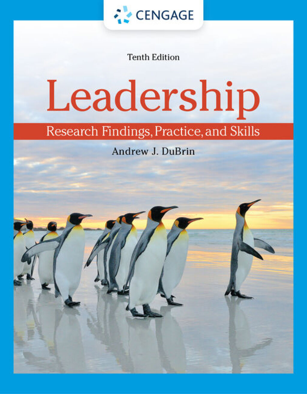 Leadership: Research Findings, Practice, and Skills 10th Edition