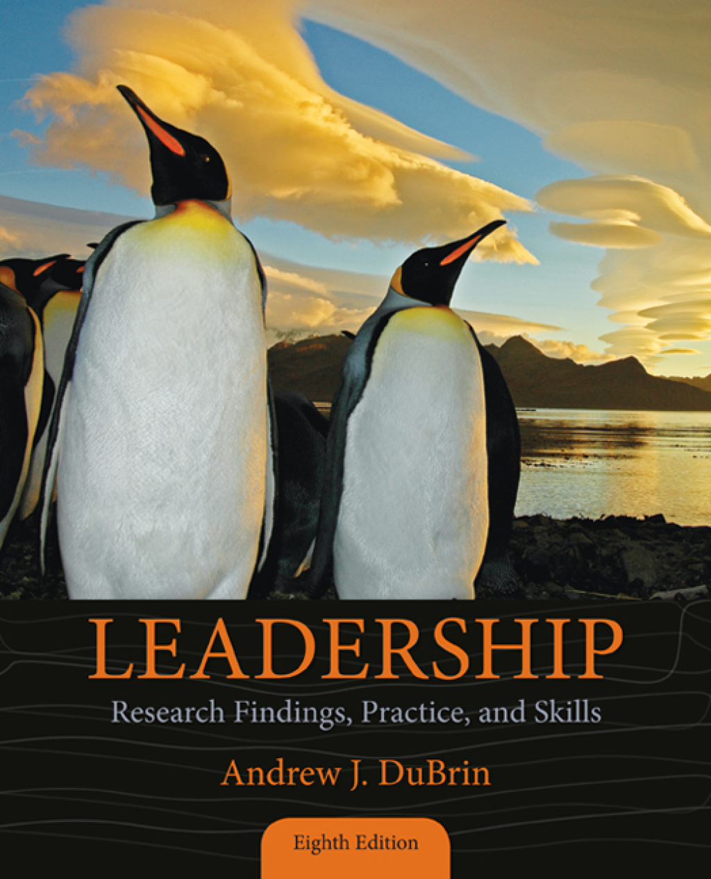 Leadership: Research Findings, Practice, and Skills 8th Edition