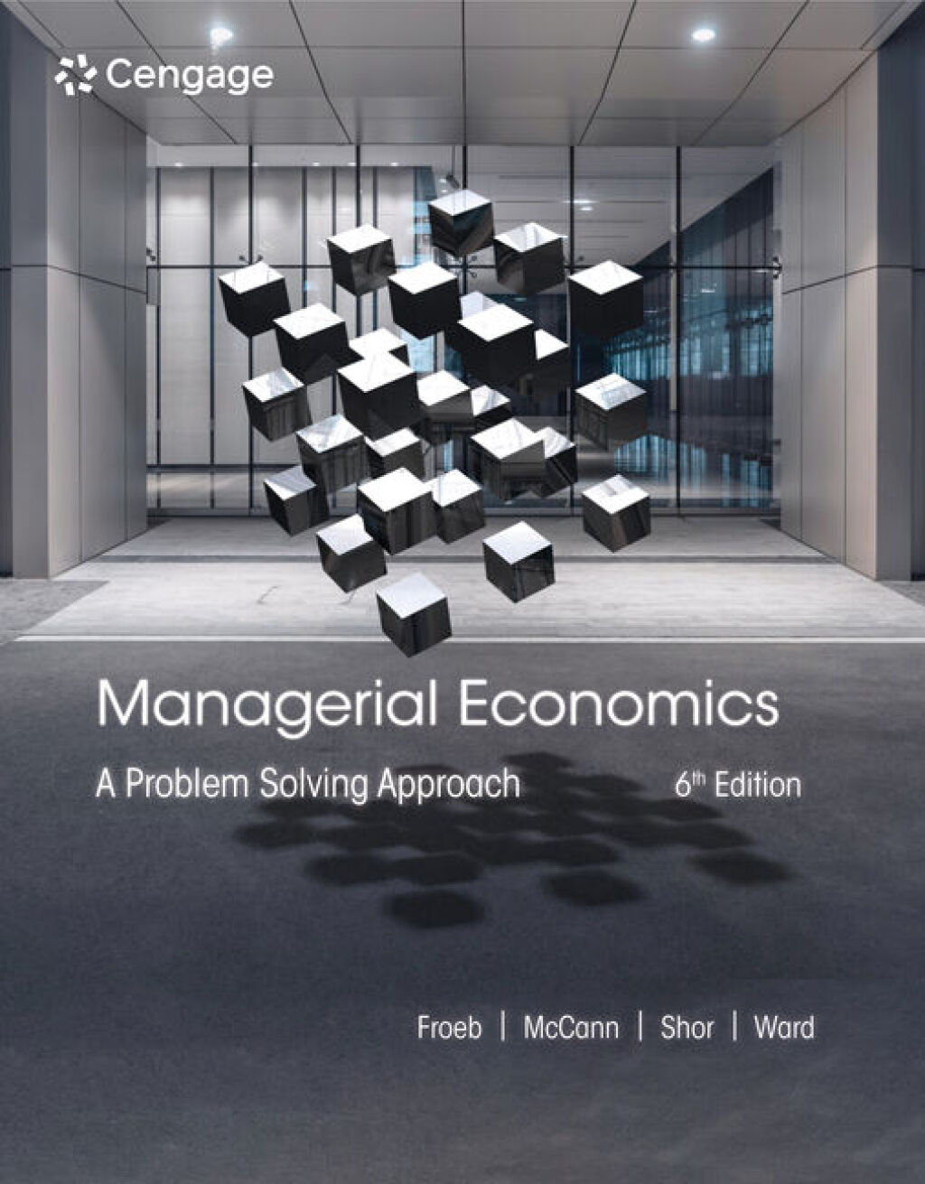 Managerial Economics: A Problem Solving Approach 6th Edition