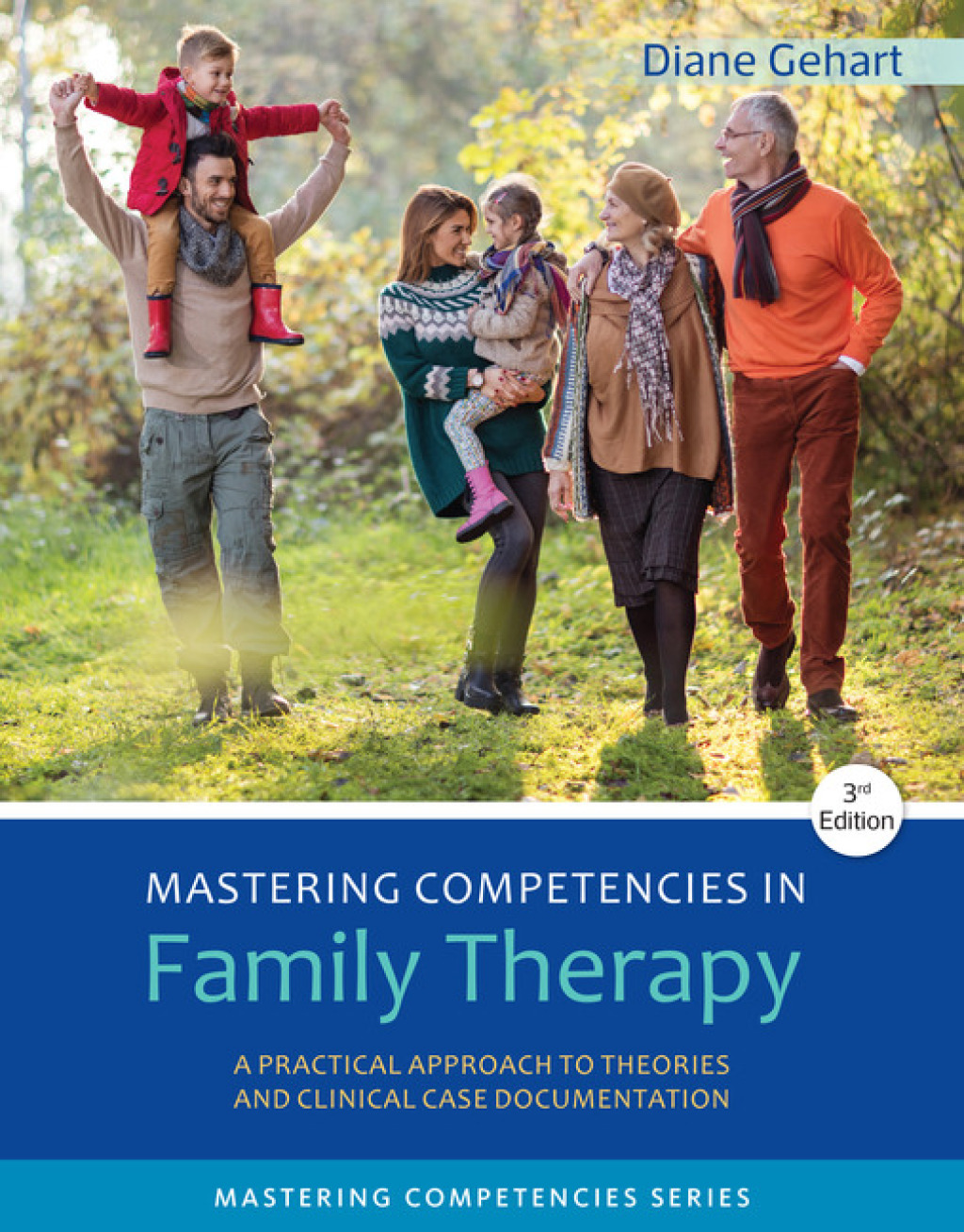 Mastering Competencies in Family Therapy: A Practical Approach to Theories and Clinical Case Documentation 3rd Edition