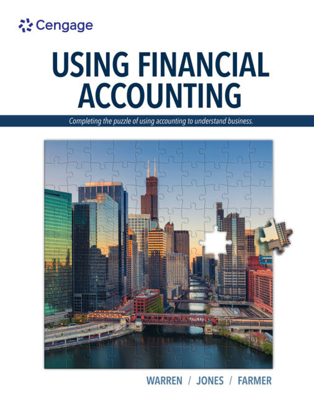 Using Financial Accounting 1st Edition