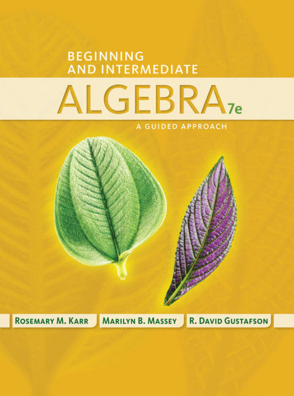 Beginning and Intermediate Algebra 7th Edition