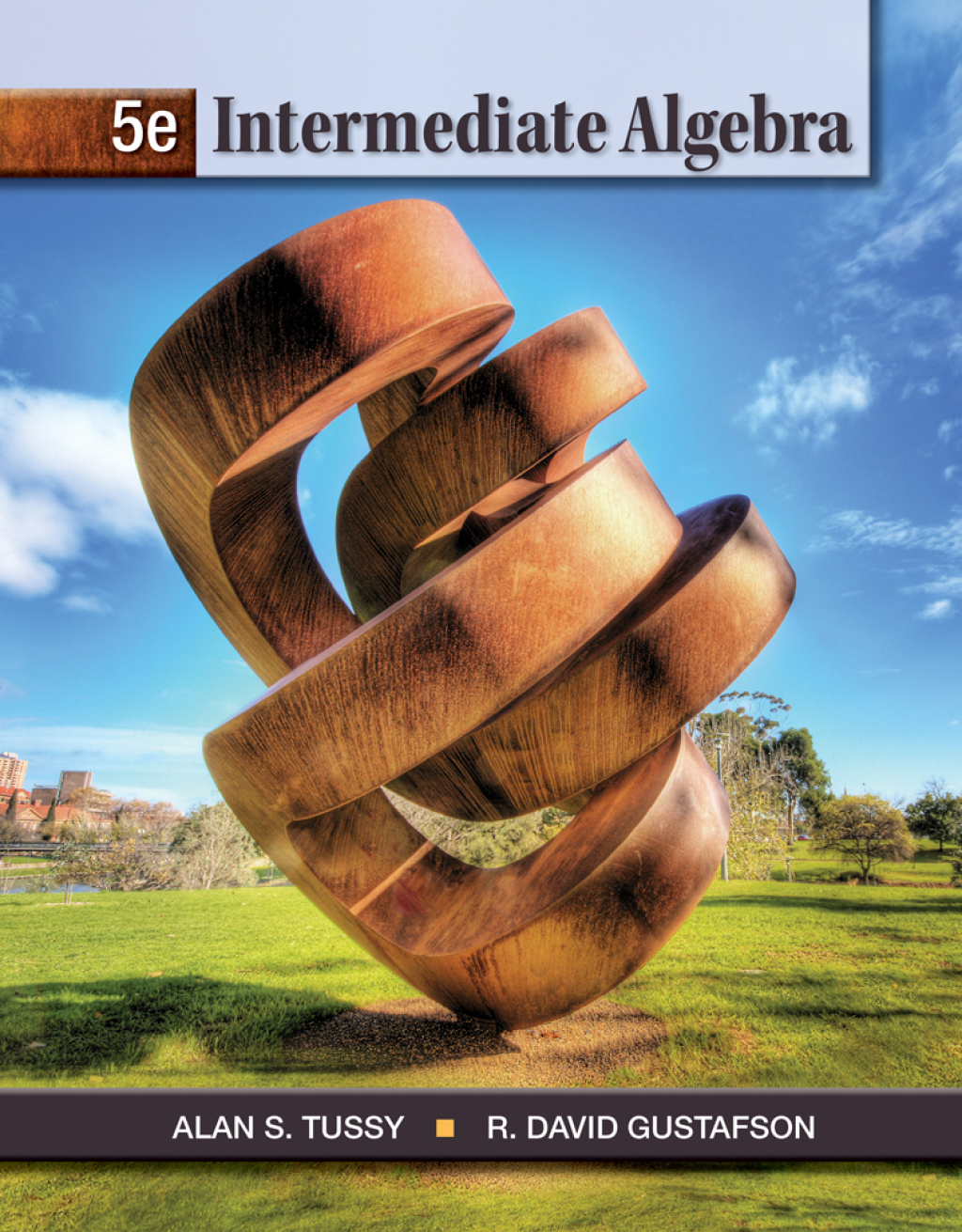 Intermediate Algebra 5th Edition