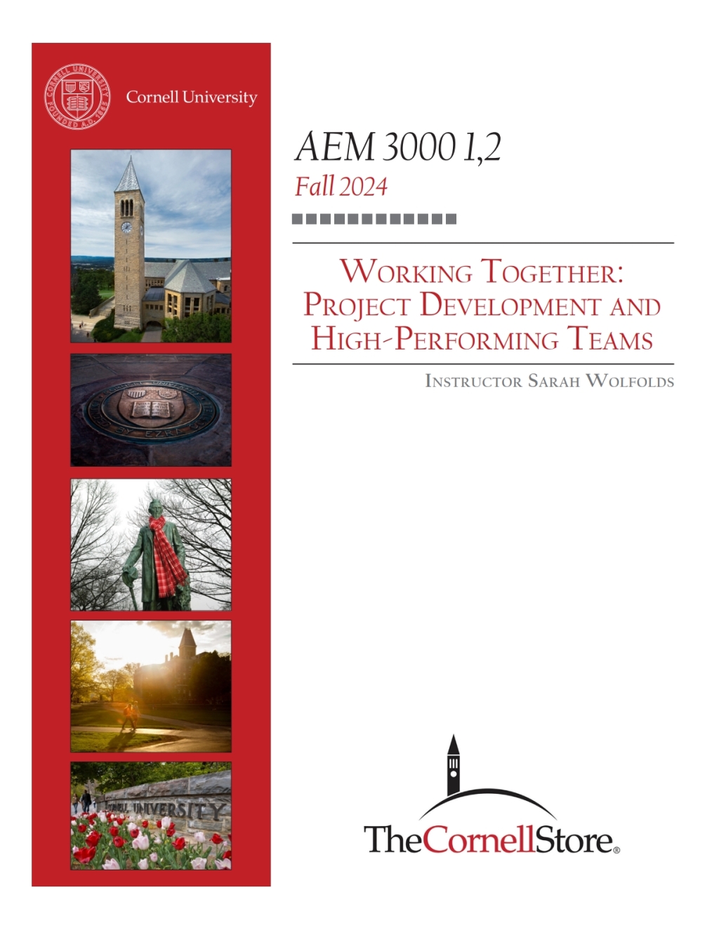 Working Together: Project Development and High Performing Teams 1st Edition