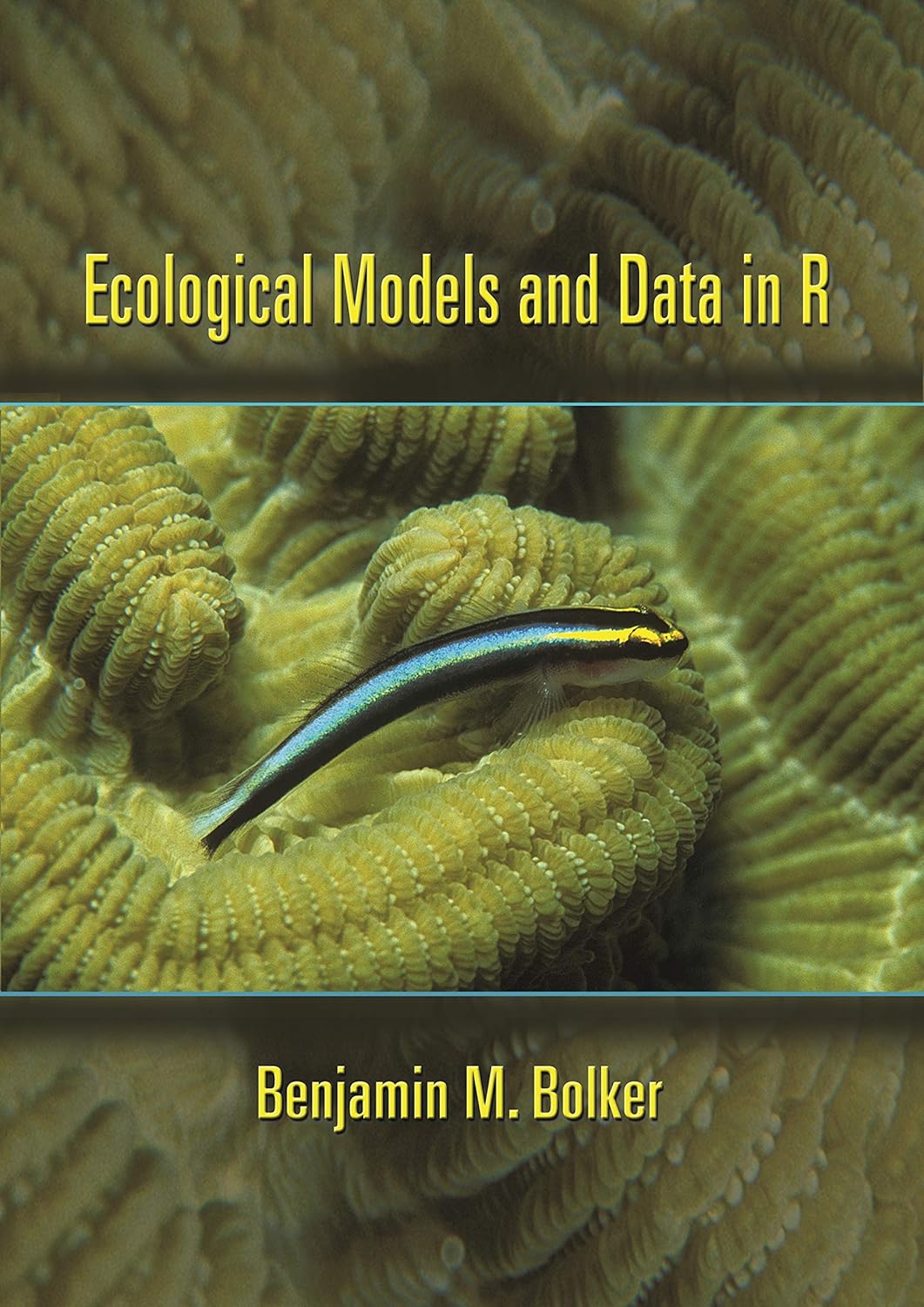 Ecological Models and Data in R (PDF/EPUB Version)