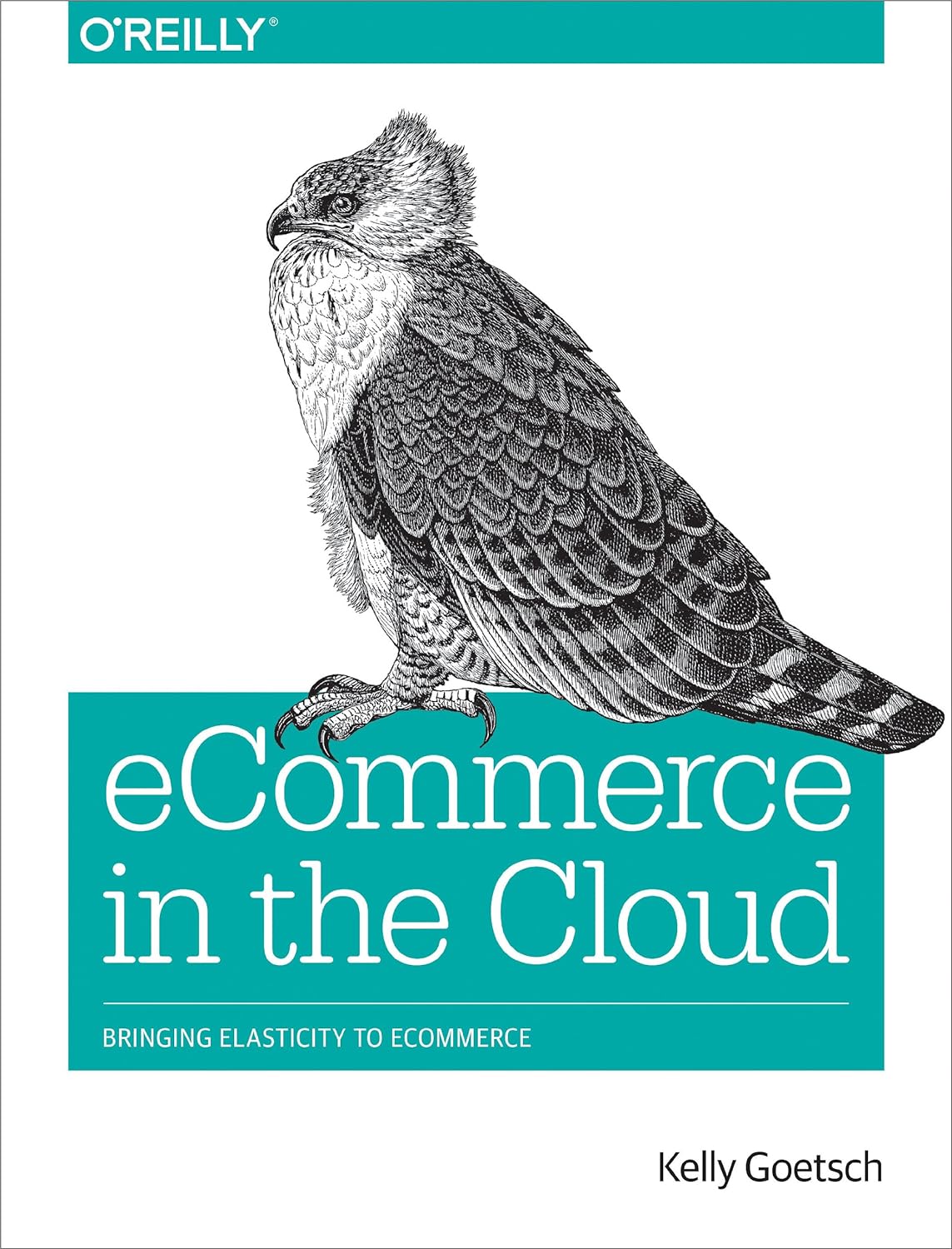 eCommerce in the Cloud: Bringing Elasticity to eCommerce (PDF/EPUB Version)