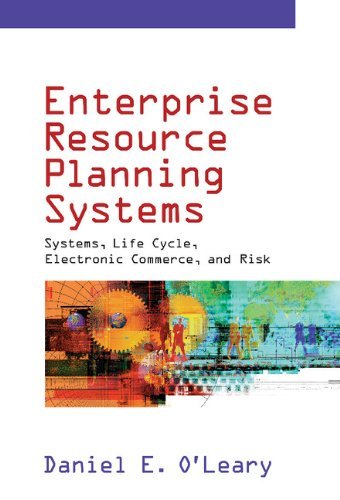 Enterprise Resource Planning Systems: Systems, Life Cycle, Electronic Commerce, and Risk (PDF/EPUB Version)