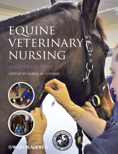 Equine Veterinary Nursing (PDF/EPUB Version)