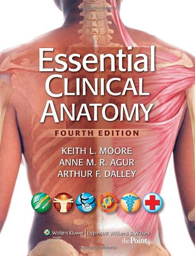 Essential Clinical Anatomy (PDF/EPUB Version)