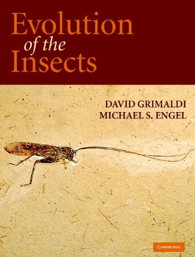 Evolution of the Insects (Cambridge Evolution Series) (PDF/EPUB Version)