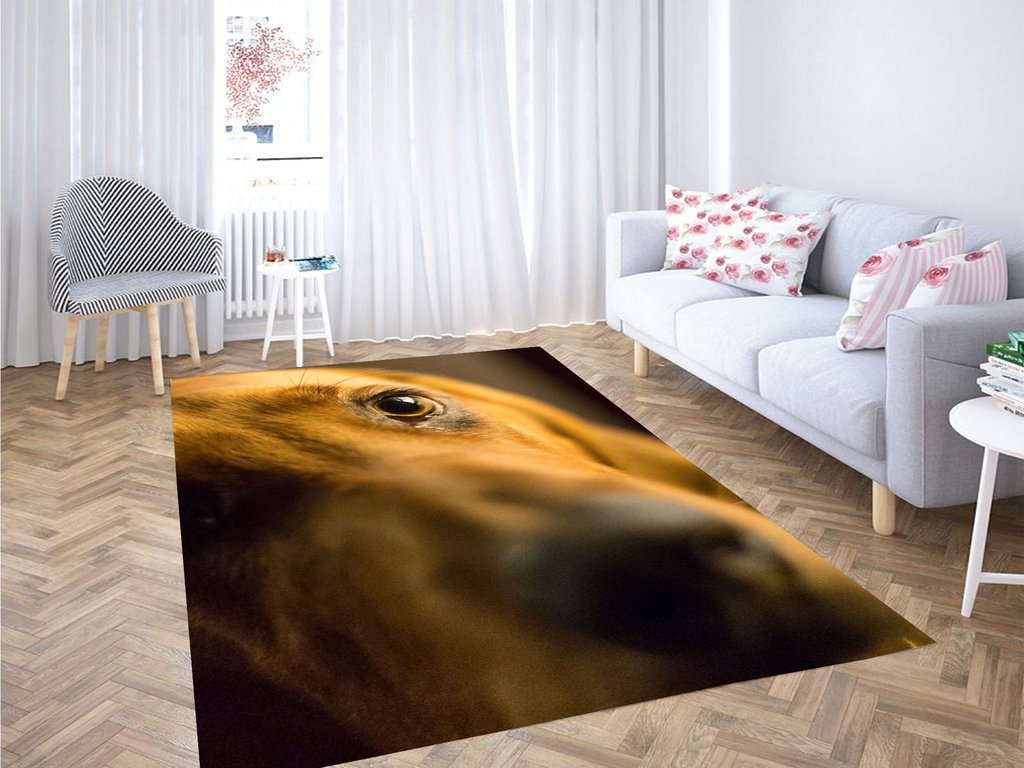 Eyes Of Brown Dog Living Room Modern Carpet Rectangle Rug