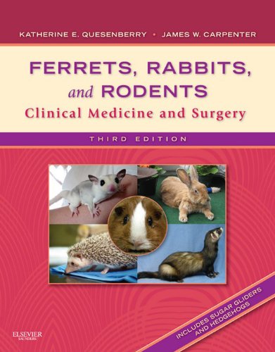 Ferrets, Rabbits and Rodents - E-Book: Clinical Medicine and Surgery (PDF/EPUB Version)