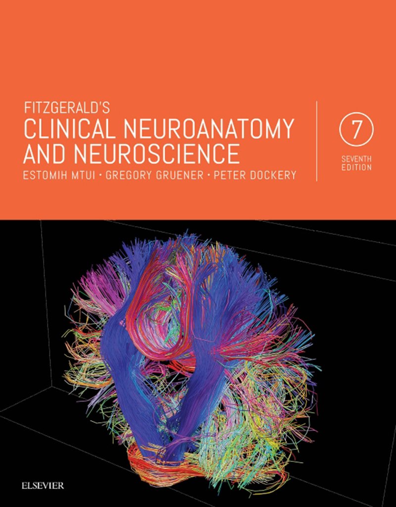 Fitzgerald's Clinical Neuroanatomy and Neuroscience E-Book (PDF/EPUB Version)