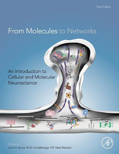 From Molecules to Networks: An Introduction to Cellular and Molecular Neuroscience (PDF/EPUB Version)