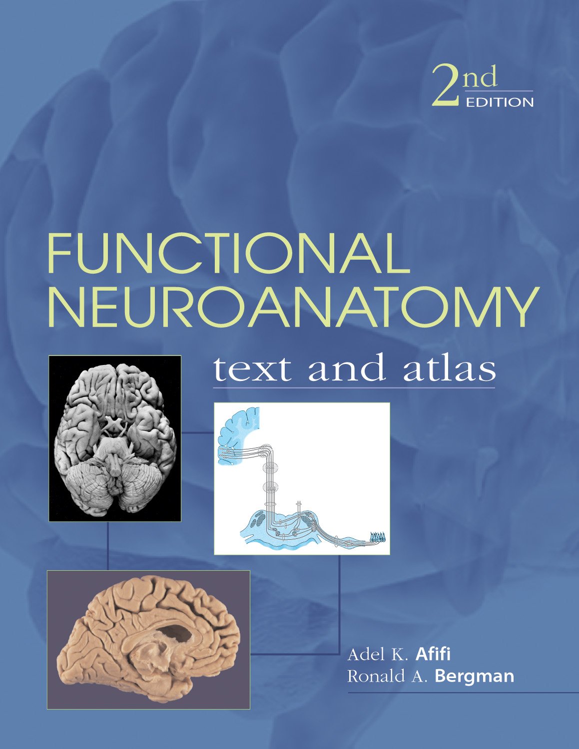 Functional Neuroanatomy: Text and Atlas, 2nd Edition (LANGE Basic Science) (PDF/EPUB Version)