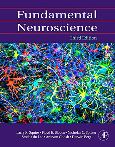 Fundamental Neuroscience (PDF/EPUB Version)