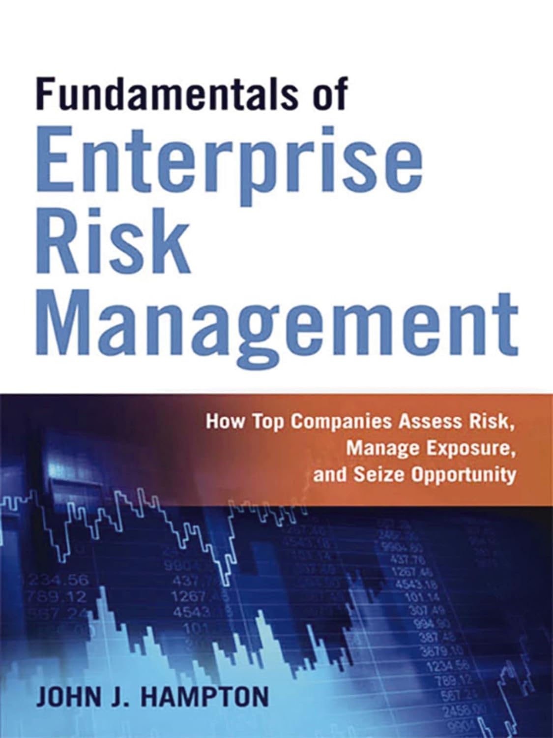Fundamentals of Enterprise Risk Management: How Top Companies Assess Risk, Manage Exposure, and Seize Opportunity (PDF/EPUB Version)