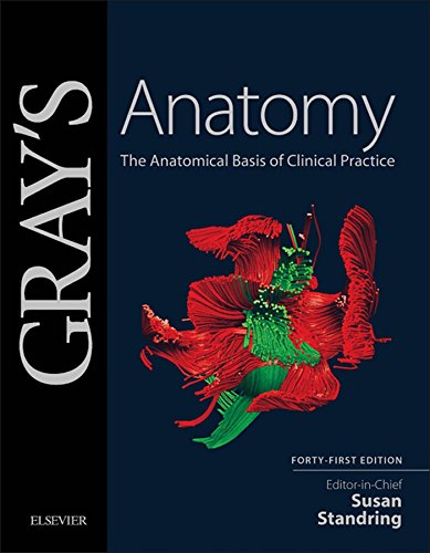 Gray's Anatomy E-Book (PDF/EPUB Version)