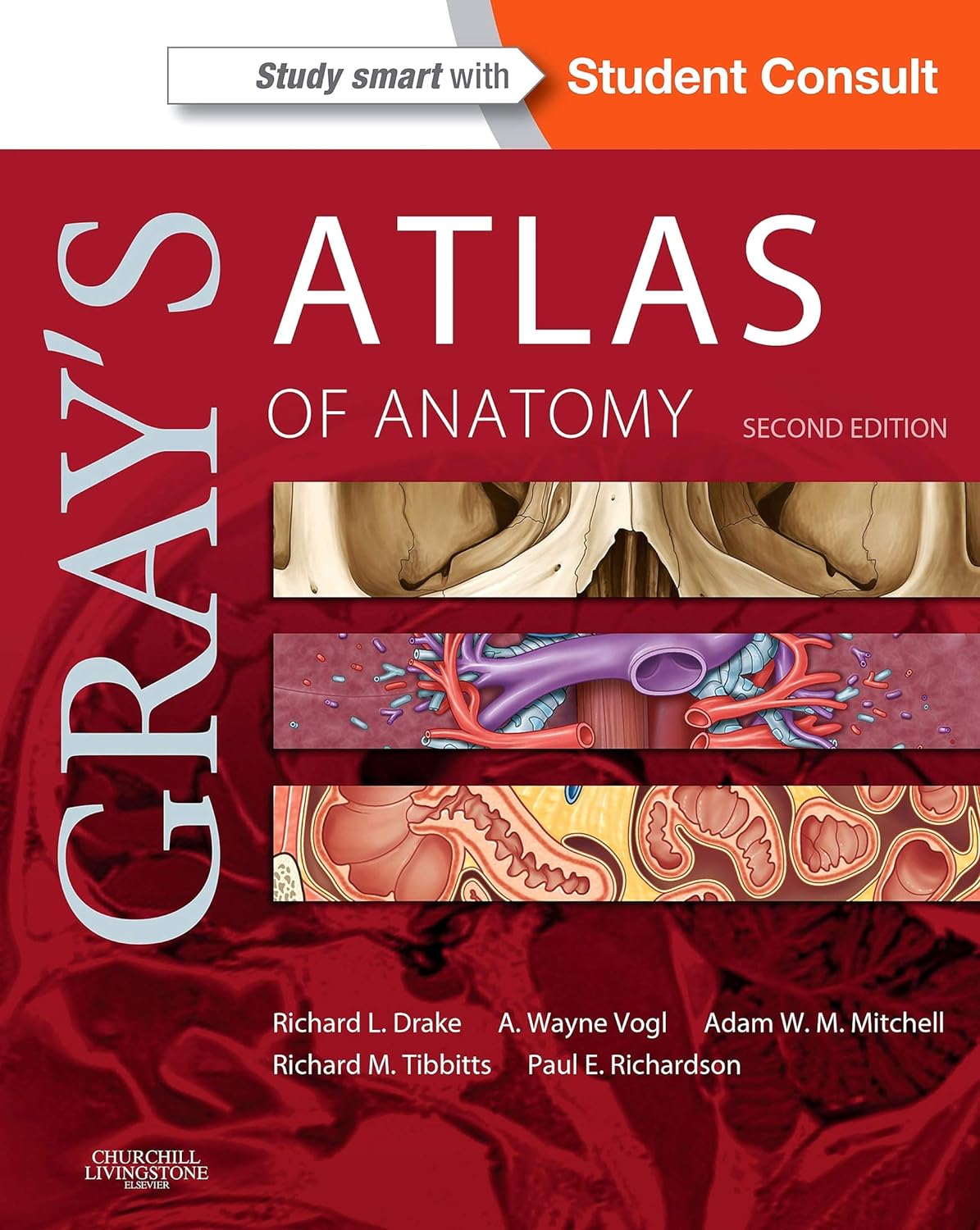 Gray's Atlas of Anatomy E-Book (Gray's Anatomy) (PDF/EPUB Version)
