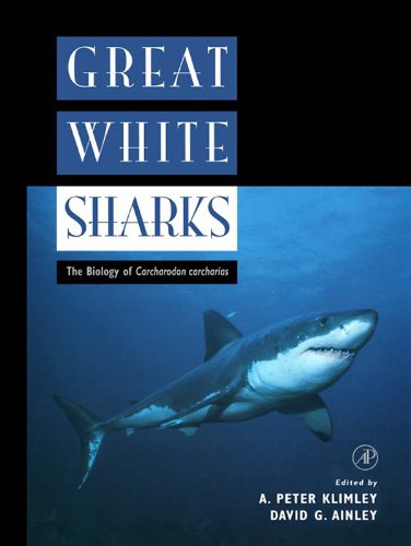 Great White Sharks: The Biology of Carcharodon carcharias (PDF/EPUB Version)