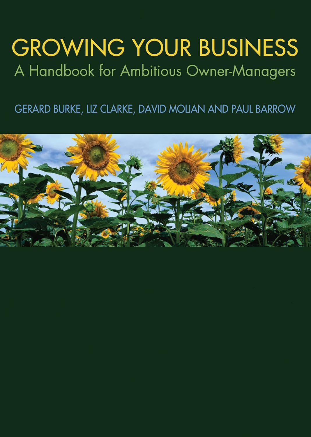 Growing your Business: A Handbook for Ambitious Owner-Managers (PDF/EPUB Version)