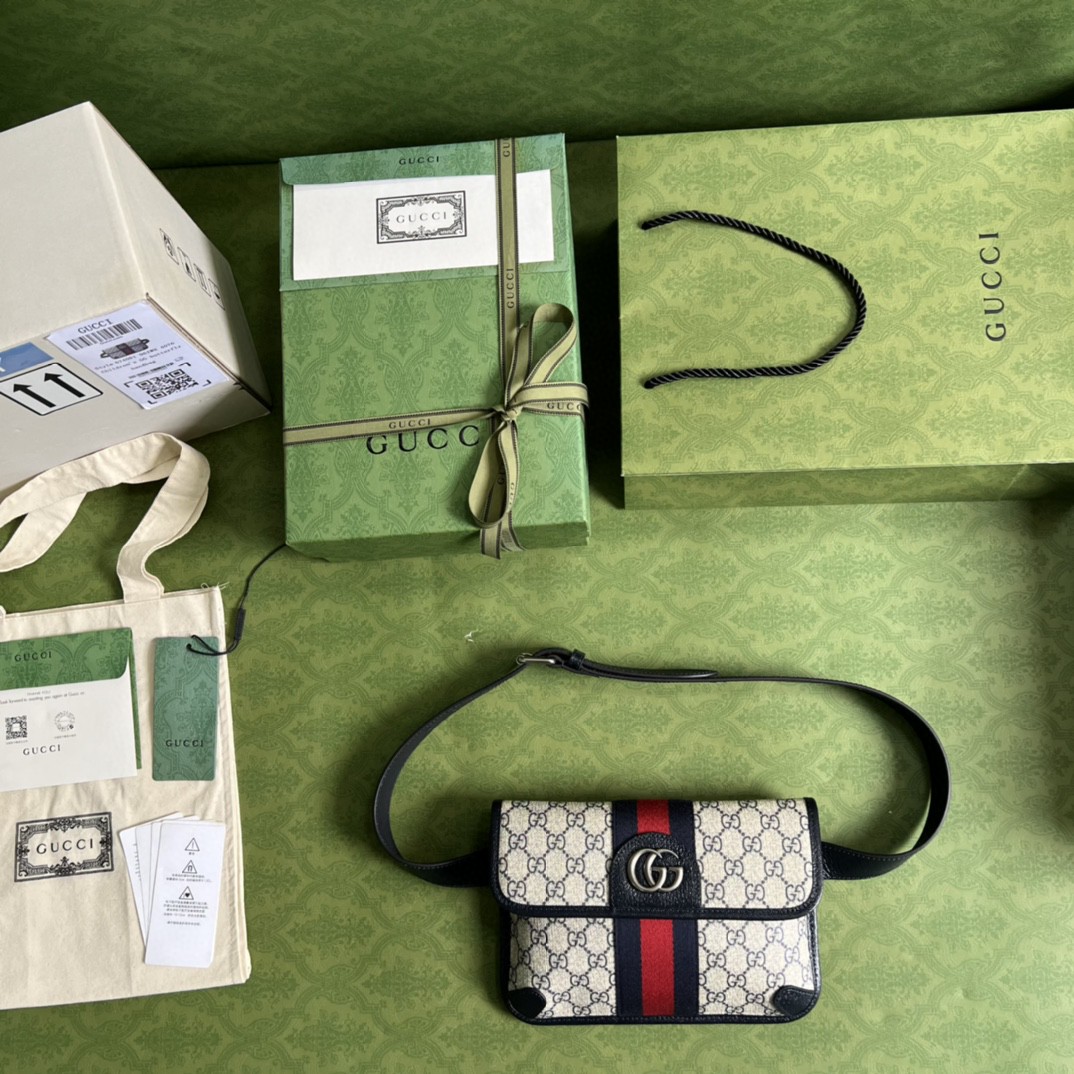Gucci Ophidia Belt Bag Beige And Blue GG Supreme Canvas For Men 9in/22cm GG 674081 96IWN 4076