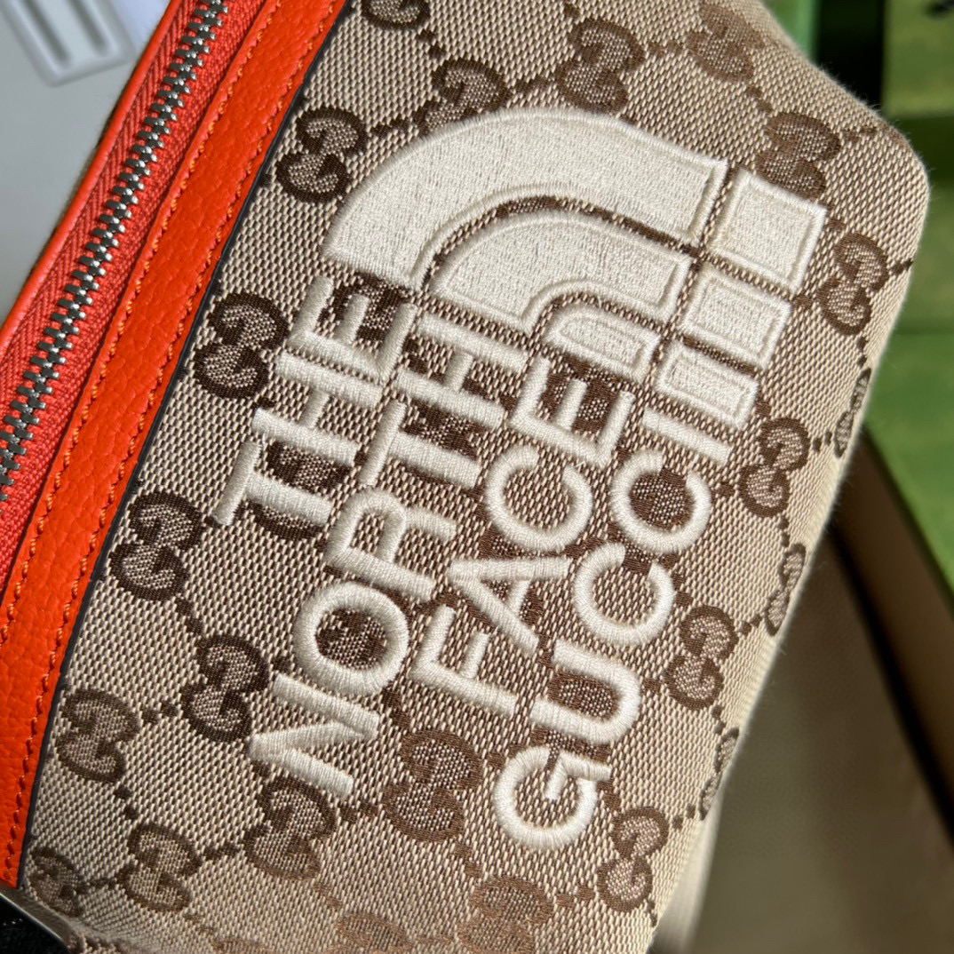 Gucci The North Face x Gucci Belt Bag Beige And Ebony Original GG Canvas For Women 8.7in/22cm 650299 GY5UN 8895