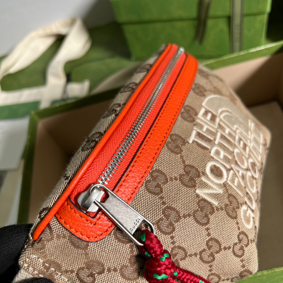 Gucci The North Face x Gucci Belt Bag Beige And Ebony Original GG Canvas For Women 8.7in/22cm 650299 GY5UN 8895