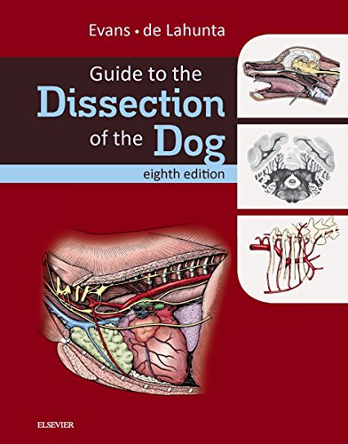 Guide to the Dissection of the Dog - E-Book (.Net Developers) (PDF/EPUB Version)