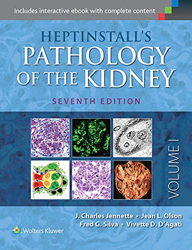 Heptinstall's Pathology of the Kidney (PDF/EPUB Version)