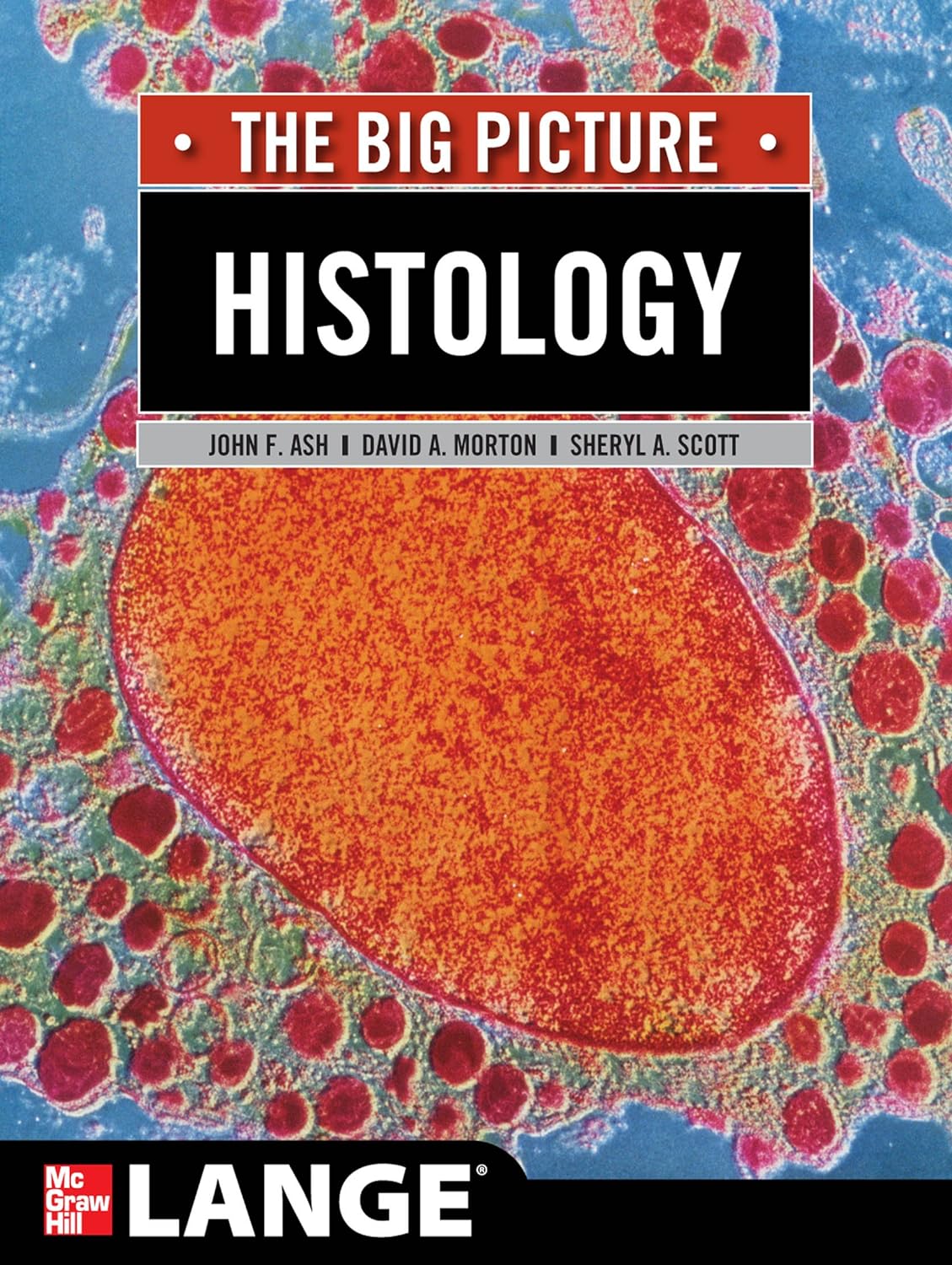 Histology: The Big Picture (LANGE The Big Picture) (PDF/EPUB Version)