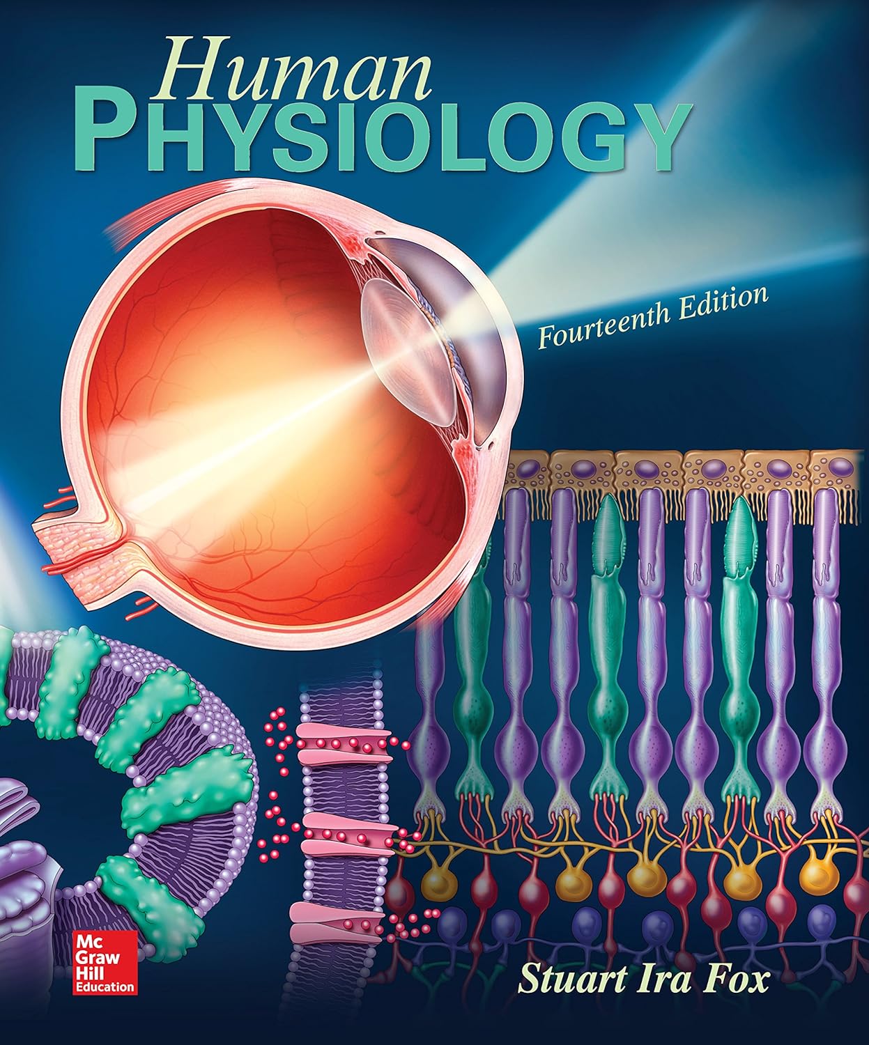 Human Physiology (PDF/EPUB Version)
