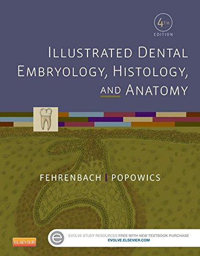 Illustrated Dental Embryology, Histology, and Anatomy - E-Book (PDF/EPUB Version)