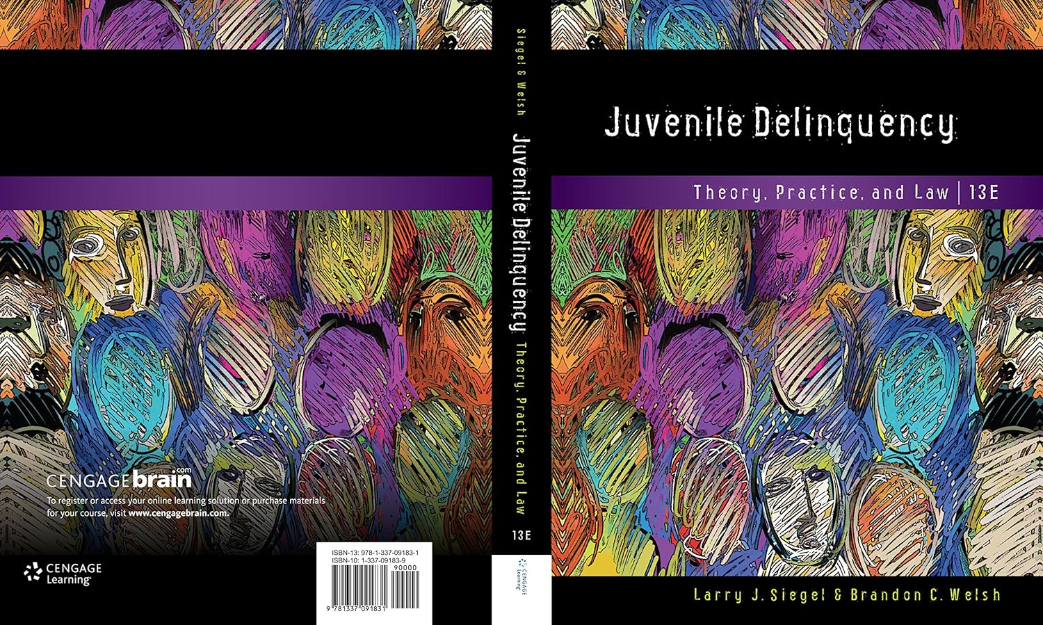 Juvenile Delinquency: Theory, Practice, and Law (PDF/EPUB Version)