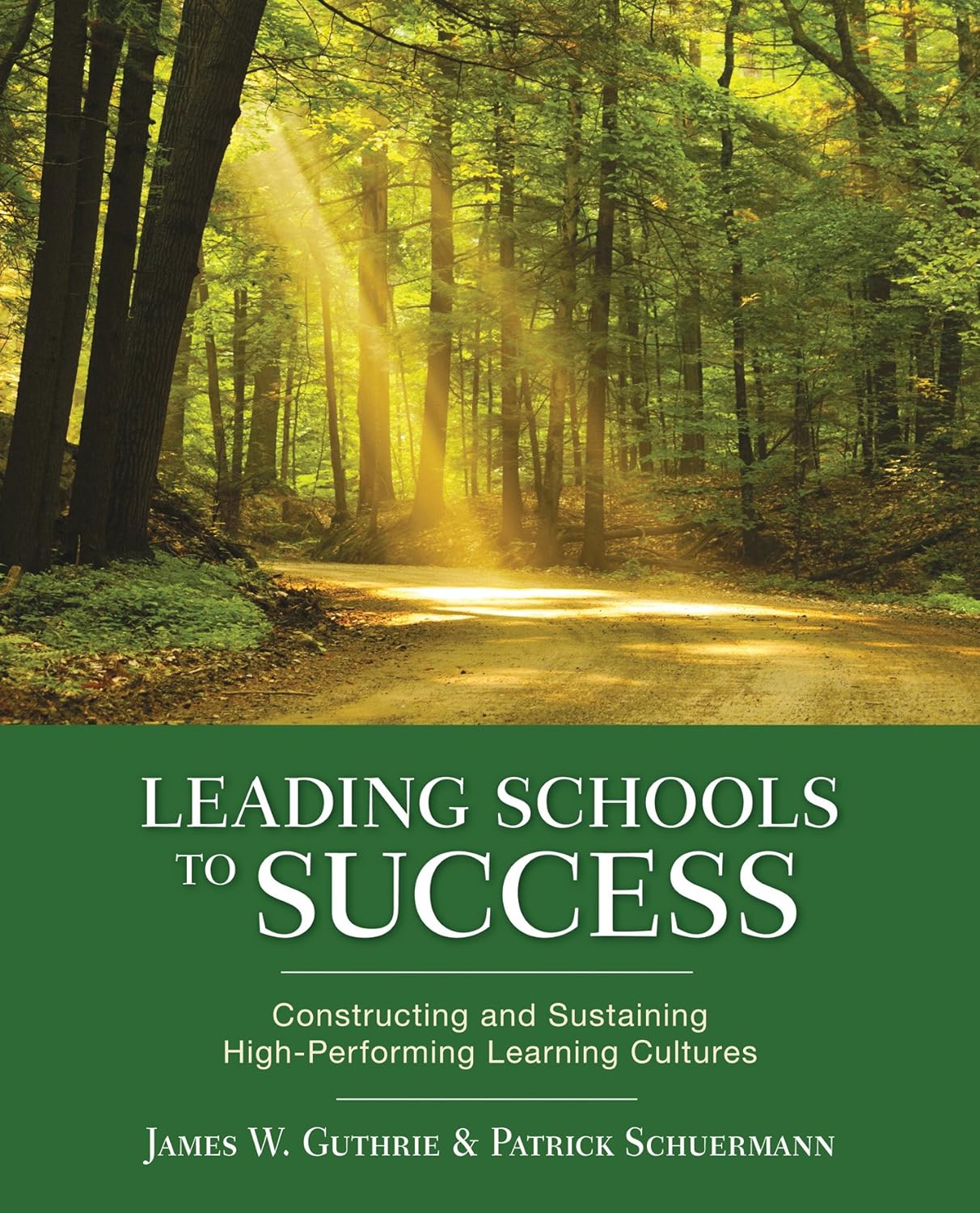 Leading Schools to Success: Constructing and Sustaining High-Performing Learning Cultures (PDF/EPUB Version)