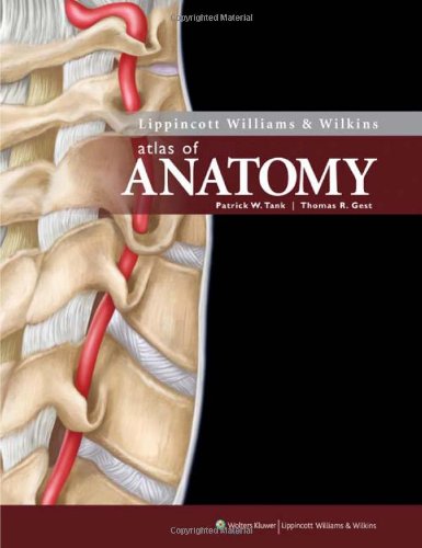 Lippincott Williams & Wilkins Atlas of Anatomy (Point (Lippincott Williams & Wilkins)) (PDF/EPUB Version)