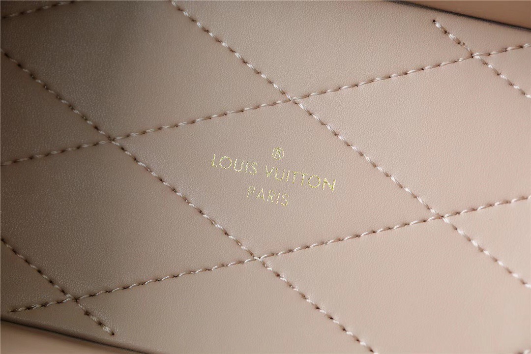 Louis Vuitton Camera Box Monogram Canvas By Nicolas Ghesquiere For Women, Women’s Handbags, Shoulder And Crossbody Bags 21.5cm/8.5in LV 