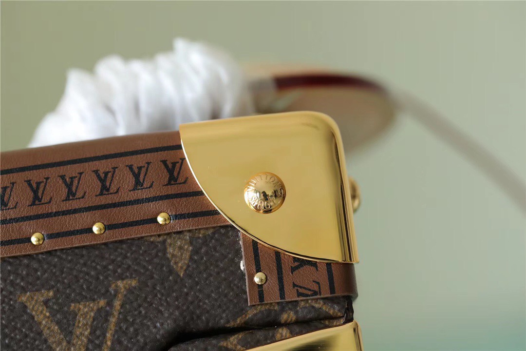 Louis Vuitton Camera Box Monogram Canvas By Nicolas Ghesquiere For Women, Women’s Handbags, Shoulder And Crossbody Bags 21.5cm/8.5in LV 
