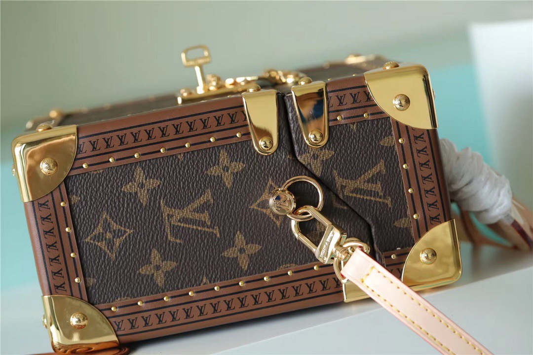 Louis Vuitton Camera Box Monogram Canvas By Nicolas Ghesquiere For Women, Women’s Handbags, Shoulder And Crossbody Bags 21.5cm/8.5in LV 