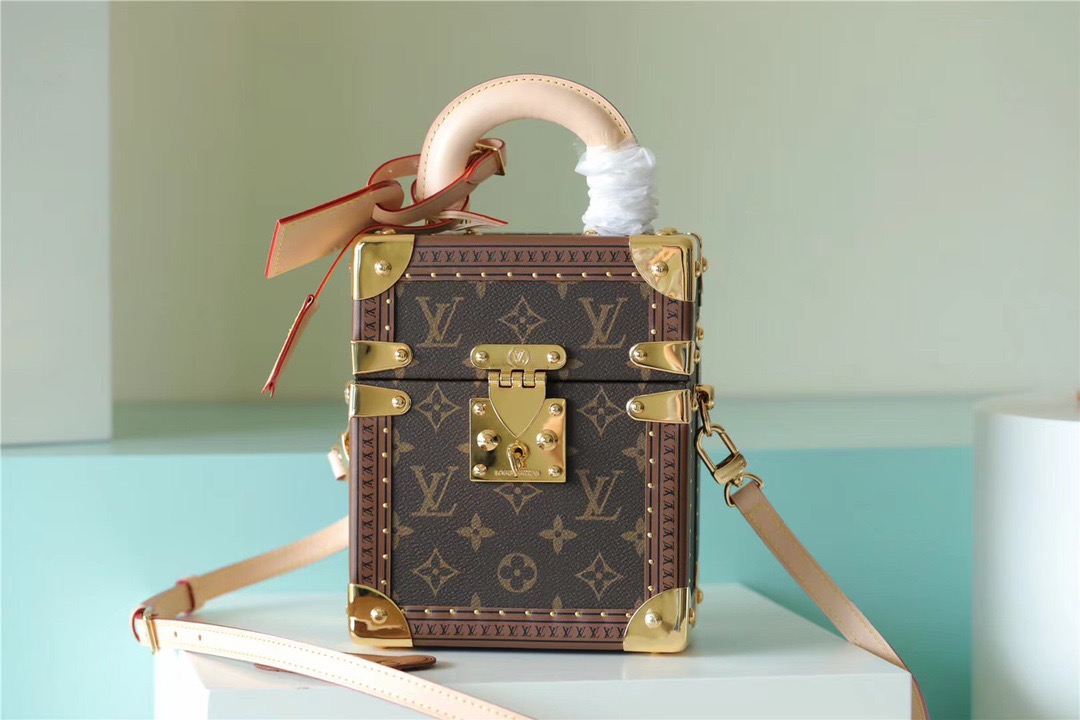 Louis Vuitton Camera Box Monogram Canvas By Nicolas Ghesquiere For Women, Women’s Handbags, Shoulder And Crossbody Bags 21.5cm/8.5in LV 
