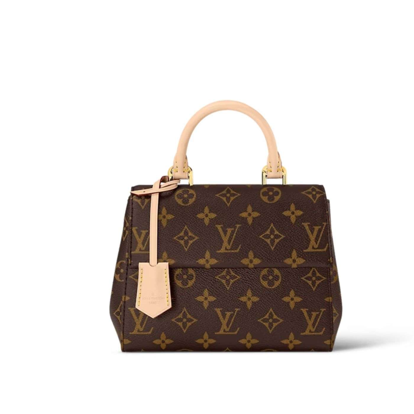 Louis Vuitton Cluny Mini Brown For Women 20cm / 7.9in