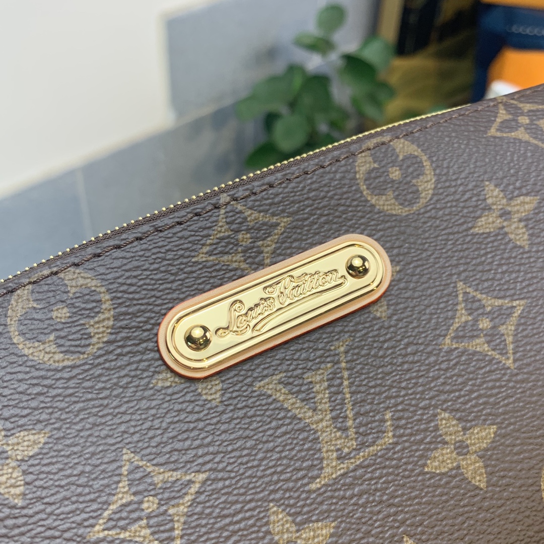Louis Vuitton Eva 2Way Chain Monogram Canvas Shoulder Bag Brown For Women 9.8in/25cm