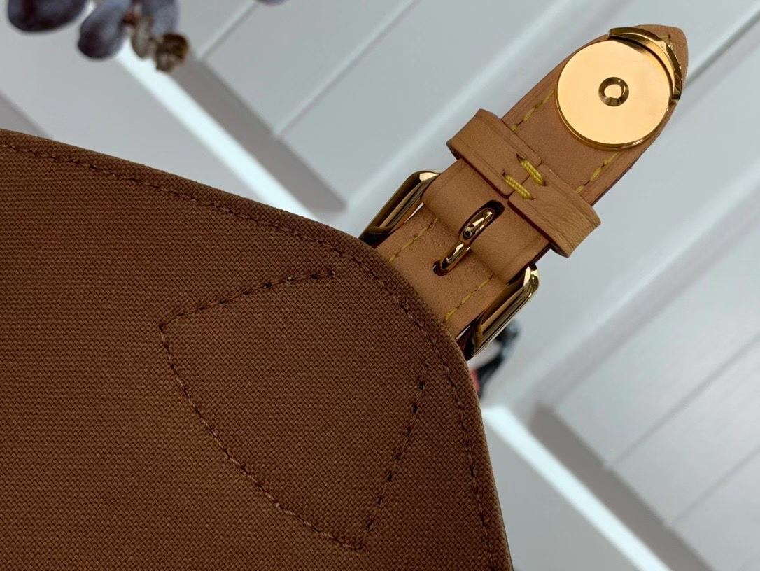 Louis Vuitton Montsouris Backpack Brown And Black/Brown And Beige For Women 33 cm/ 13 in
