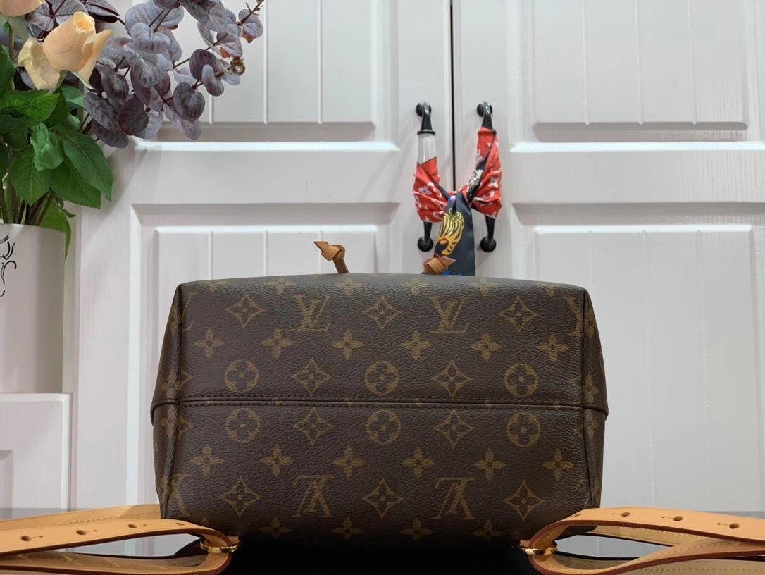 Louis Vuitton Montsouris Backpack Brown And Black/Brown And Beige For Women 33 cm/ 13 in