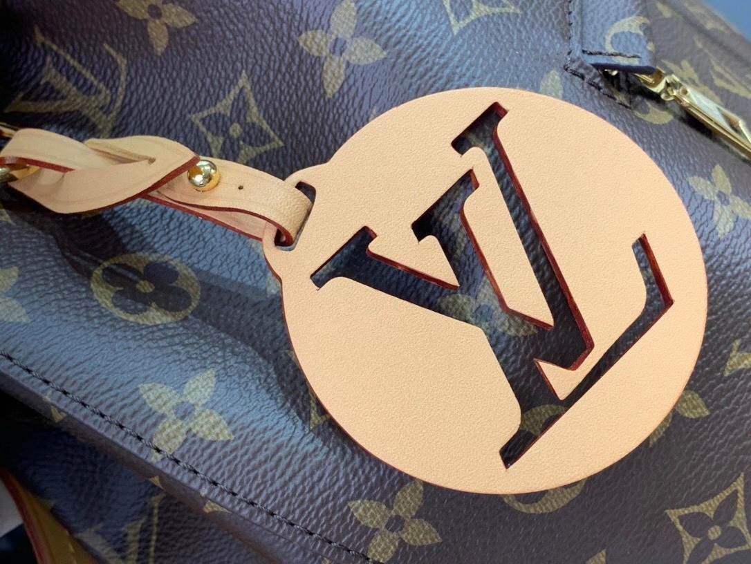Louis Vuitton Montsouris Backpack Brown And Black/Brown And Beige For Women 33 cm/ 13 in