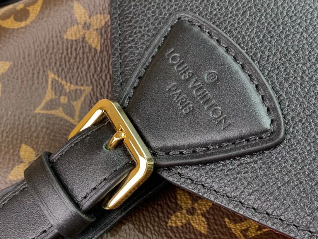 Louis Vuitton Montsouris Backpack Brown And Black/Brown And Beige For Women 33 cm/ 13 in