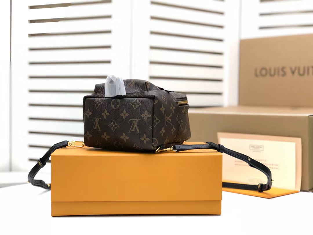 Louis Vuitton Palm Springs Mini Monogram Canvas For Women, Women’s Handbags, Women’s Backpack 6.7in/17cm